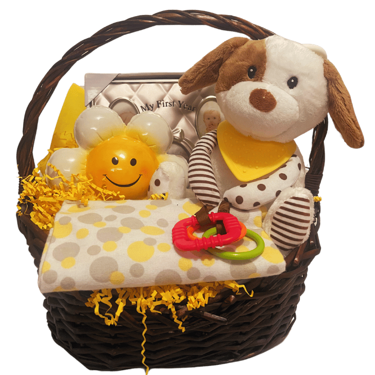 Snuggles & Smiles Baby Gift Basket