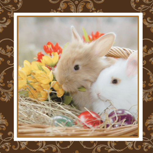 Easter Gift Baskets
