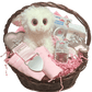"Sparkle Eyes" Little Lamb Treasures