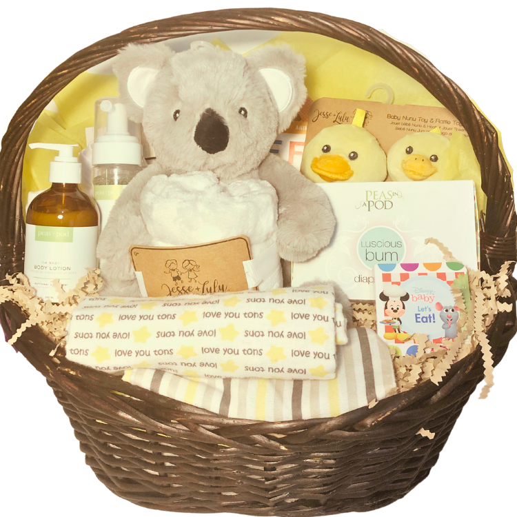 Ultimate Baby Care and Comfort Gift Basket