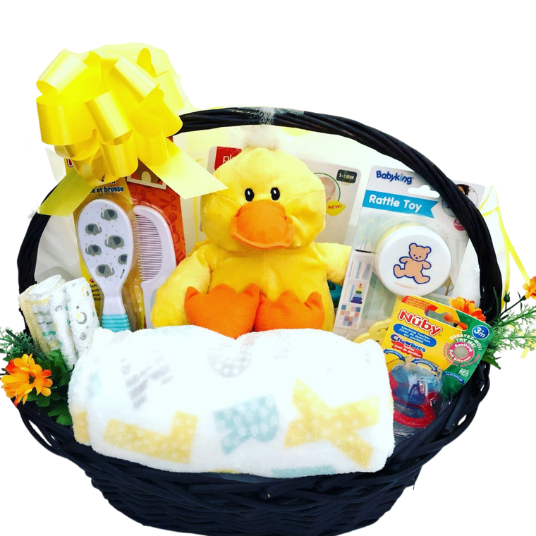 Welcome to the World! Baby Gift Basket